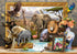 Funbox - African Escape Jigsaw Puzzle (1000 Pieces)