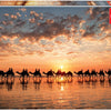 Educa - Golden Sunset Cable Beach Jigsaw Puzzle (1000 Pieces)