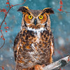 Castorland - Great Horned Owl Jigsaw Puzzle (500 Pieces)