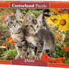 Castorland - Kitten Buddies Jigsaw Puzzle (1500 Pieces)