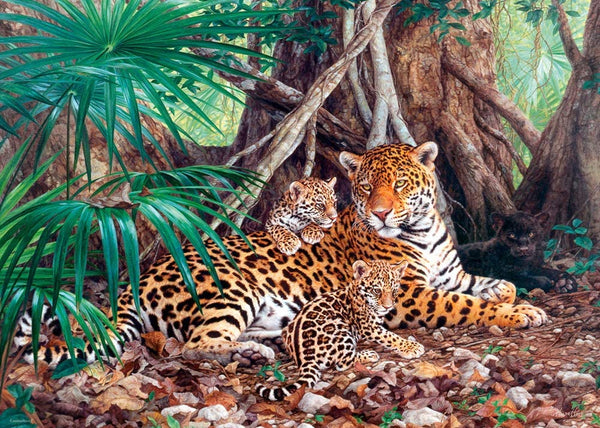 Castorland - Jaguars In The Jungle Jigsaw Puzzle (3000 Pieces)