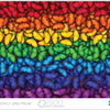 Buffalo Games - Butterfly Spectrum - 1500 Piece Jigsaw Puzzle