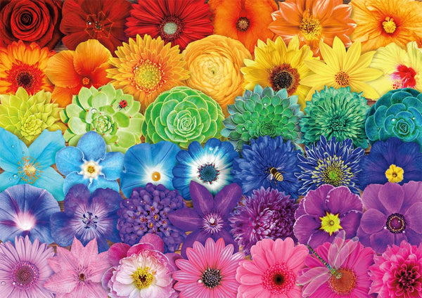 Buffalo Games - Color Explosion - Flower Spectrum - 300 Large Piece Jigsaw Puzzle