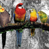 Educa - Birds on the Jungle Jigsaw Puzzle (500 Pieces)