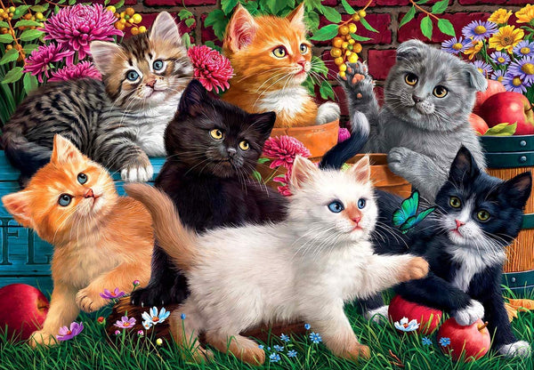 Anatolian - Kittens At Play Jigsaw Puzzle (260 Pieces)