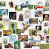 Ravensburger - Funny Animals Jigsaw Puzzle (1500 Pieces)