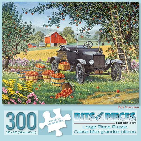 Bits and Pieces - Pick Your Own by John Sloane Jigsaw Puzzle (300 Pieces)