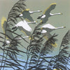 Flame Tree Studio - Swans Flying Over the Reeds by Robert Gillmor Jigsaw Puzzle (500 Pieces)