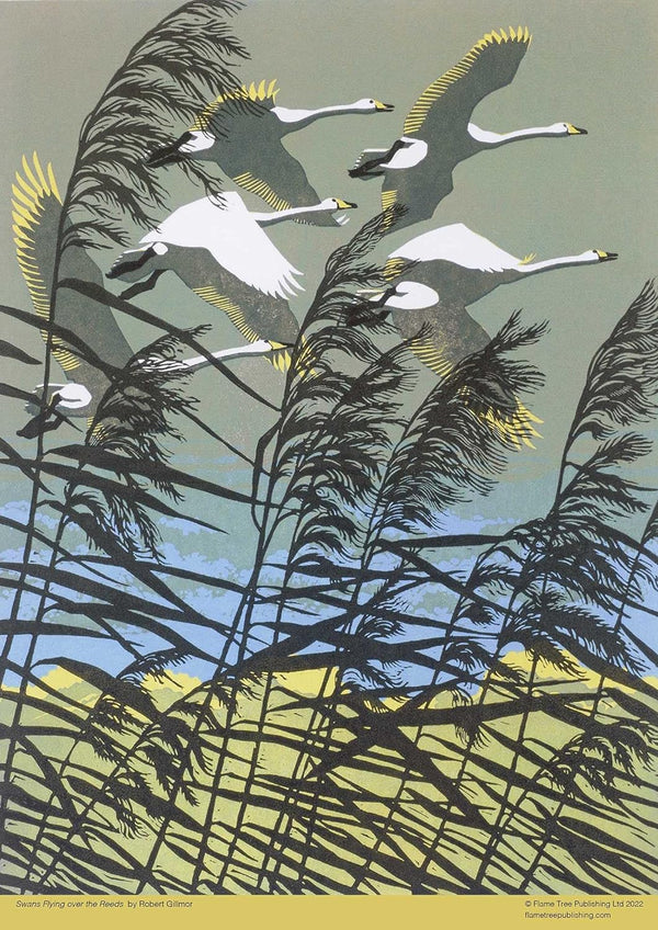 Flame Tree Studio - Swans Flying Over the Reeds by Robert Gillmor Jigsaw Puzzle (500 Pieces)