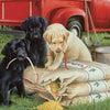 Willow Creek - Just Dogs Jigsaw Puzzle (1000 Pieces)