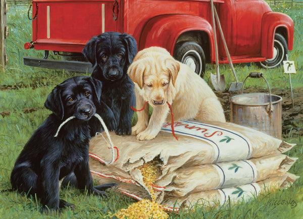 Willow Creek - Just Dogs Jigsaw Puzzle (1000 Pieces)