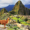 Educa - Machu Picchu Peru Jigsaw Puzzle (1000 Pieces)