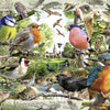 Ravensburger - Our Feathered Friends Jigsaw Puzzle (1000 Pieces)