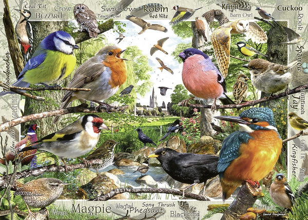 Ravensburger - Our Feathered Friends Jigsaw Puzzle (1000 Pieces)