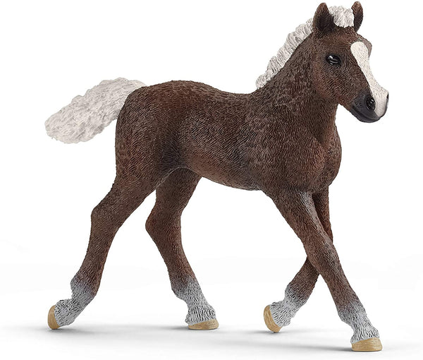 Schleich Schleich Black Forest Foal Figurine Figurine