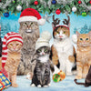 Buffalo Games - Adorable Animals - Meowy Christmas - 300 Large Piece Jigsaw Puzzle