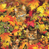 Sunsout - Kitties at Play XL Jigsaw Puzzle (300 Pieces)