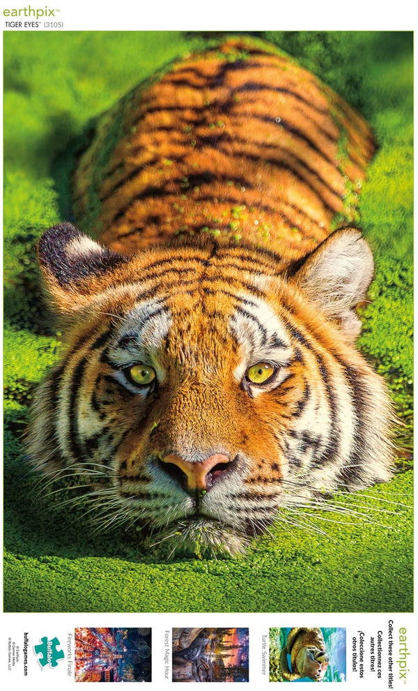 Buffalo Games - Earthpix Collection - Tiger Eyes - 500 Piece Jigsaw Puzzle