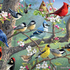 Buffalo Games - Hautman Brothers - Birds in an Orchard - 1000 Piece Jigsaw Puzzle