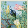 Flame Tree Studio - Kew Gardens, Honeyflowers and Honeysuckers by Marianne North Jigsaw Puzzle (1000 Pieces)