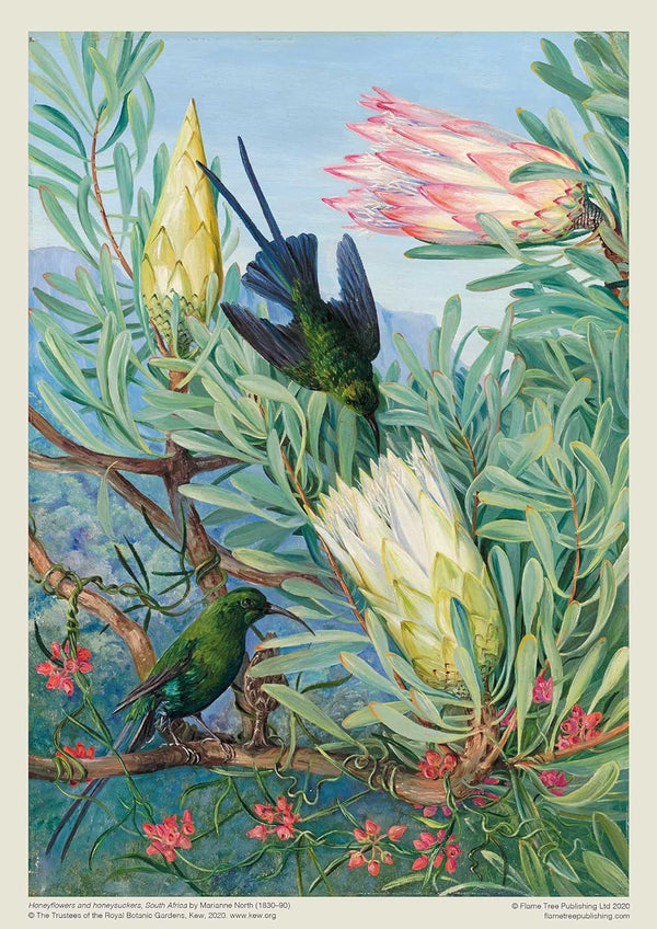 Flame Tree Studio - Kew Gardens, Honeyflowers and Honeysuckers by Marianne North Jigsaw Puzzle (1000 Pieces)