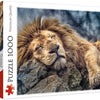 Trefl - Sleeping Lion Jigsaw Puzzle (1000 Pieces)