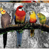 Educa - Birds on the Jungle Jigsaw Puzzle (500 Pieces)