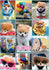 Buffalo Games - Boo Collage - 300 Large Piece Jigsaw Puzzle