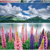 Educa - Lupis On Shores Of Lake Sils Jigsaw Puzzle (1500 Pieces)