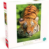 Buffalo Games - Earthpix Collection - Tiger Eyes - 500 Piece Jigsaw Puzzle
