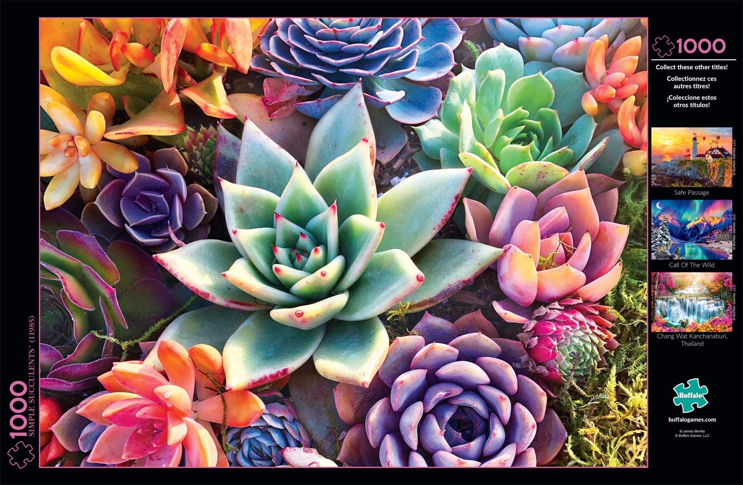 succulence game Buffalo Games - Simple Succulent - 1000 Piece Jigsaw Puzzle