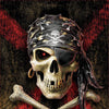 Educa - Pirate Skull Jigsaw Puzzle (500 Pieces)