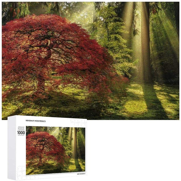 Heye - Magic Forests, Guiding Light Jigsaw Puzzle (1000 Pieces)