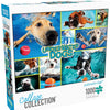 Buffalo Games - Underwater Dogs - 1000 Piece Jigsaw Puzzle