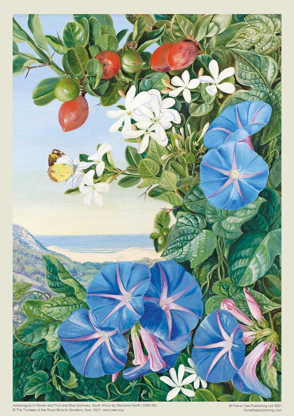 Flame Tree Studio - Amathungulu and Blue Ipomoea, South Africa by Marianne North Jigsaw Puzzle (1000 Pieces)