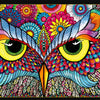 Buffalo Games - Vivid Collection - Owl Eyes - 1000 Piece Jigsaw Puzzle