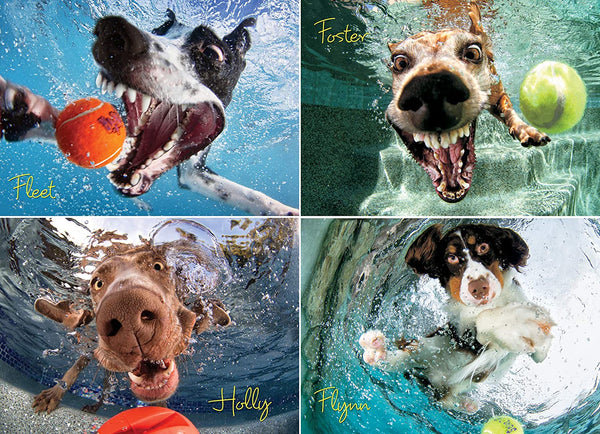 Willow Creek - Underwater Dogs: Play Ball Jigsaw Puzzle (1000 Pieces)