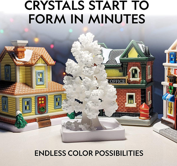 National Geographic - Crystal Garden Kit