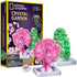 National Geographic - Crystal Garden Kit