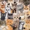 Peter Pauper Press - All The Cats Jigsaw Puzzle (500 Pieces)