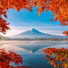 Schmidt - Autumn Splendour At Mount Fuji Jigsaw Puzzle (1000 Pieces)