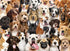 Peter Pauper Press - All The Dogs Jigsaw Puzzle (500 Pieces)