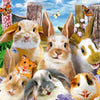 Ravensburger - Rabbits Selfie Jigsaw Puzzle (100 pieces) by Howard Robinson
