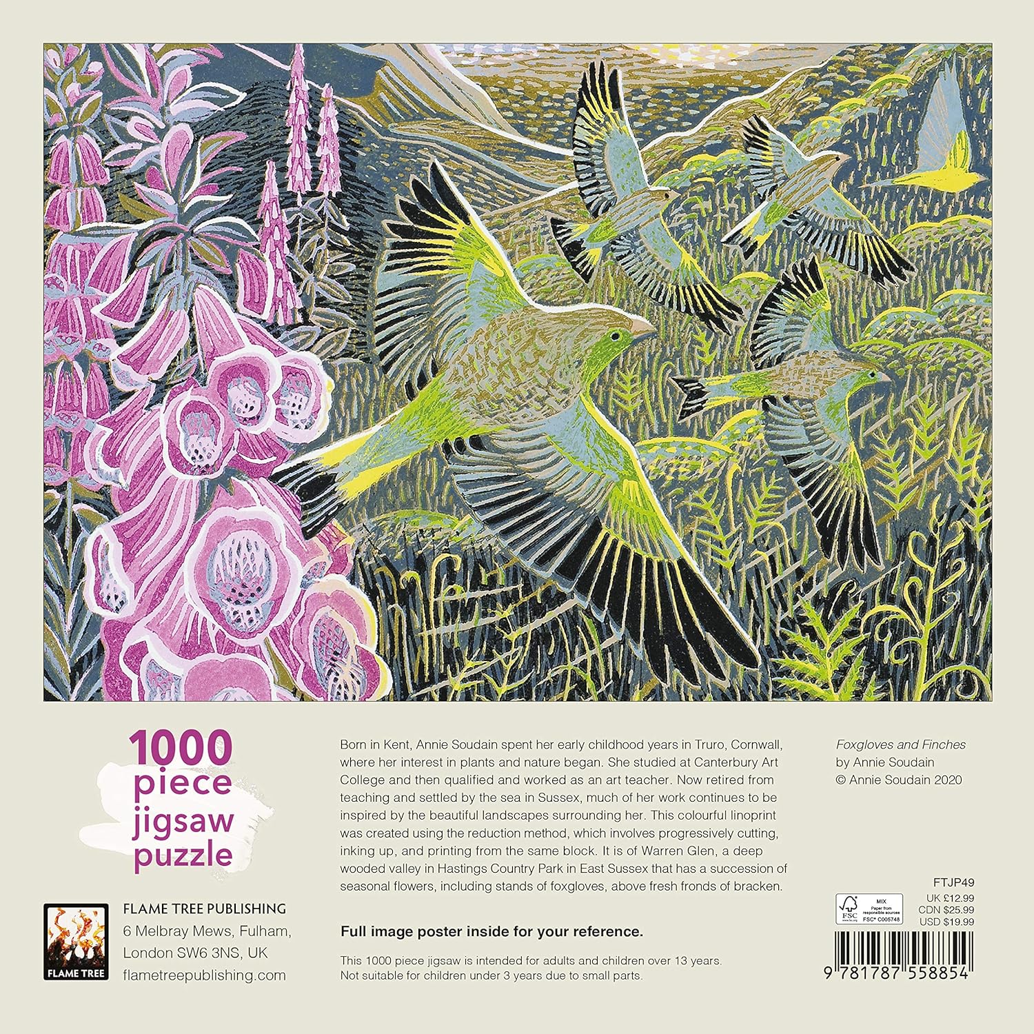 Annie Soudain Foxgloves Amazon co uk Annie Soudain Cards DHFGVL annie-soudain-foxgloves-amazon-co-uk-annie-soudain-cards-dhfgvl