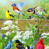 Buffalo Games Hautman Brothers - Songbird Menagerie - 300 Large Piece Jigsaw Puzzle