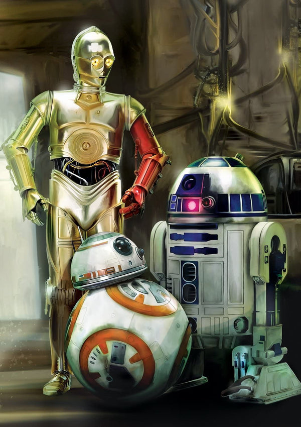 Buffalo Games Droids-Star Wars 300 Large Piece Jigsaw Puzzle