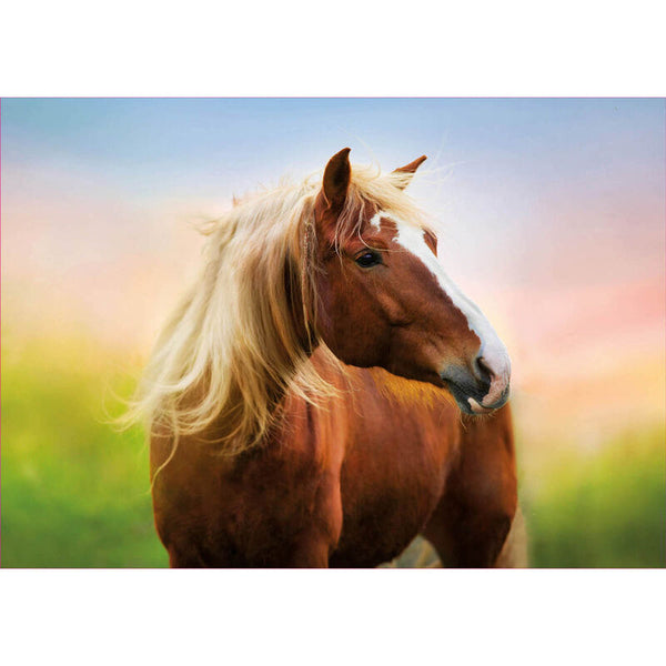 Educa - Horse At Sunrise Jigsaw Puzzle (500 Pieces)