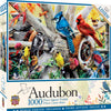 Masterpieces Puzzle Audubon Backyard Birds Puzzle 1,000 pieces