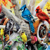 Masterpieces Puzzle Audubon Backyard Birds Puzzle 1,000 pieces