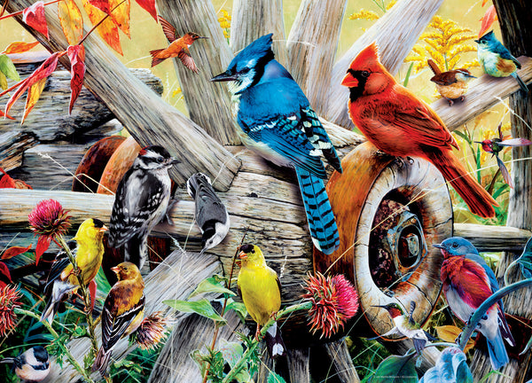 Masterpieces Puzzle Audubon Backyard Birds Puzzle 1,000 pieces